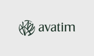 Avatim